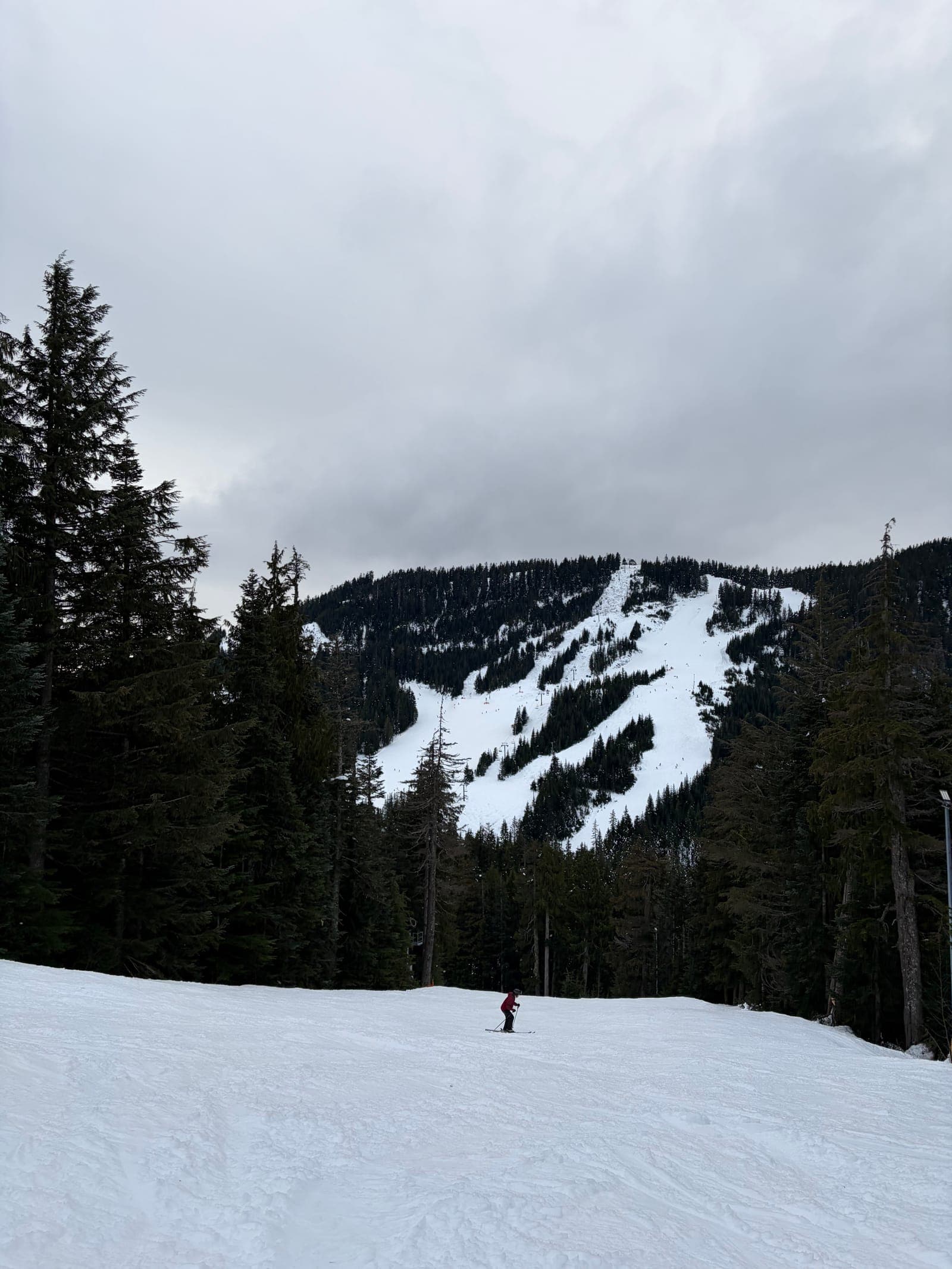 Scenic view from Cypress Mountain